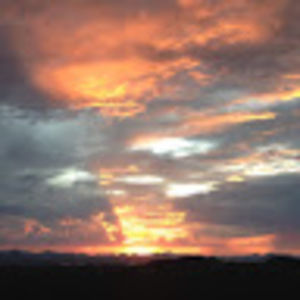 Meet your Posher, Gabby